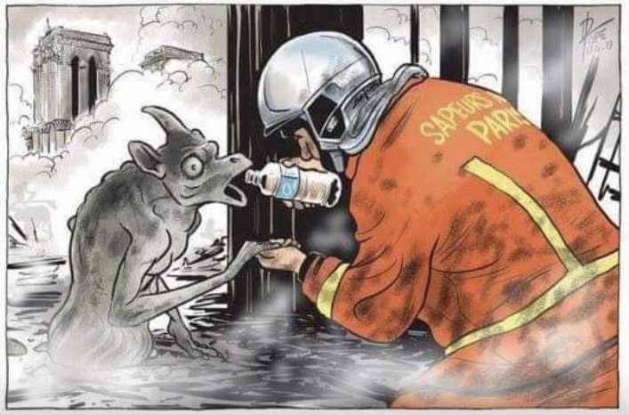 707x466, 141 Kb / горгулья, пожар, вода, спасение, Нотр-Дам