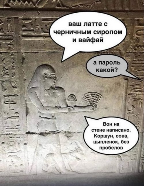 500x646, 82 Kb / латте, вайфай, пароль, коршун, цыпленок, египет