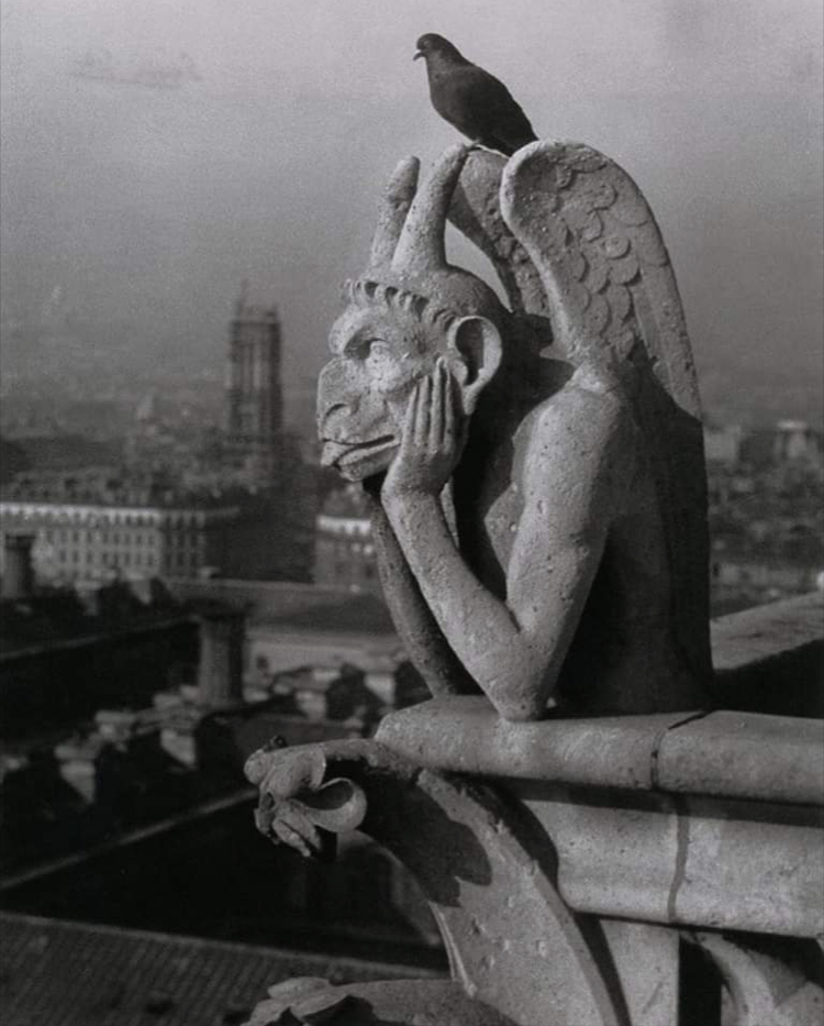 750x933, 401 Kb / горгулья, Нотр-Дам, Париж, собор, ретро, голубь, ч/б