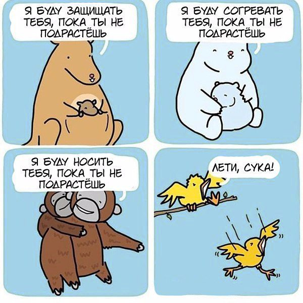 600x600, 488 Kb / звери, любовь, кенгуру, обезьяна, птица