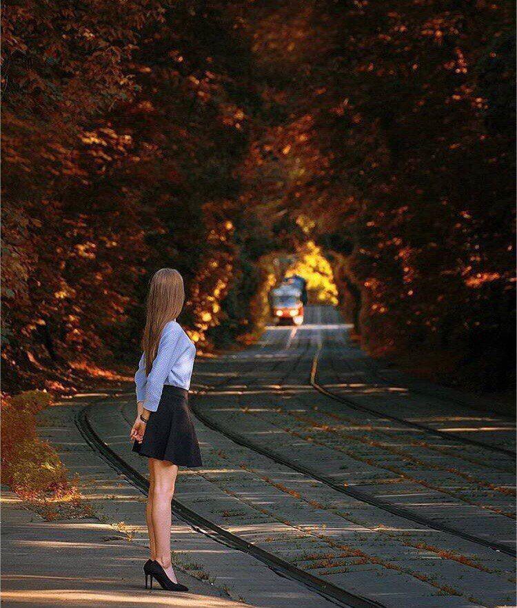 750x882, 149 Kb / девушка, трамвай, аллея