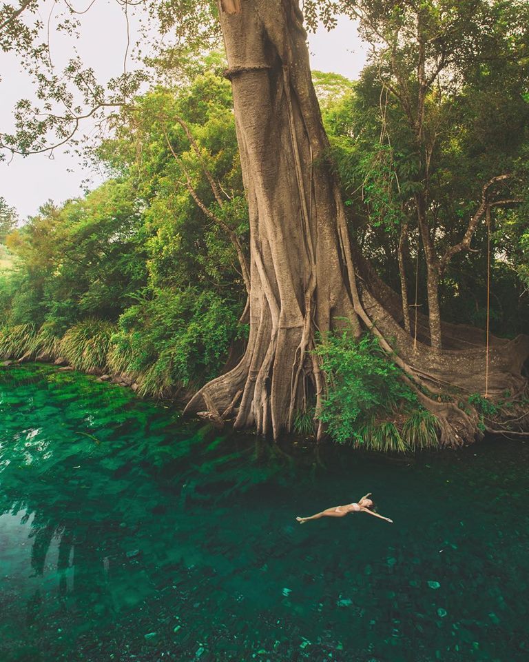 768x960, 186 Kb / дерево, озеро, девушка, корни