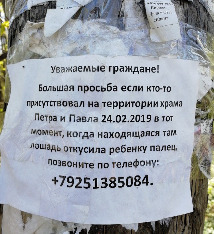 750x820, 210 Kb / храм, лошадь, палец, ребенок