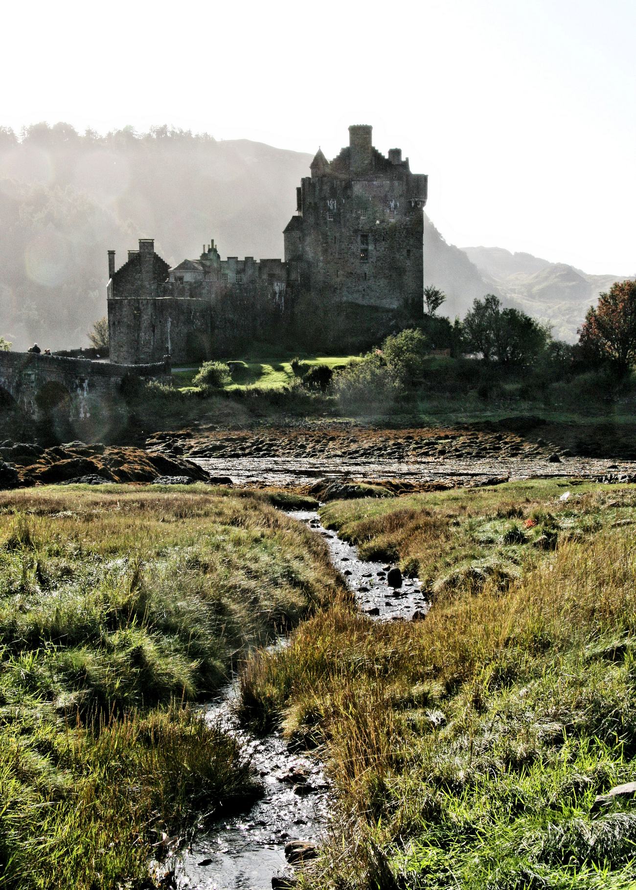 1300x1820, 612 Kb / Eilean Donan, замок, река, мост, трава, ручей, приток,UdoChristmann