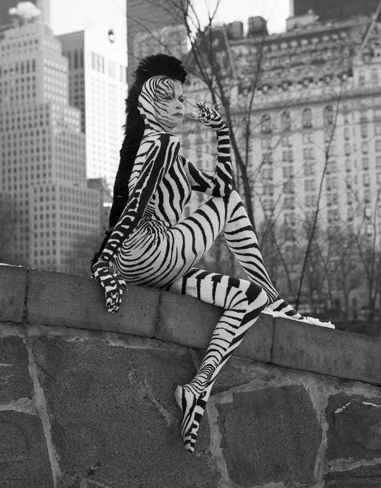 780x1000, 140 Kb / зебра, бодиарт, ч/б