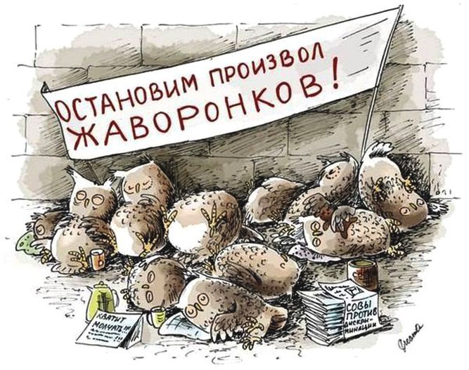 667x527, 106 Kb / совы, дамонстрация