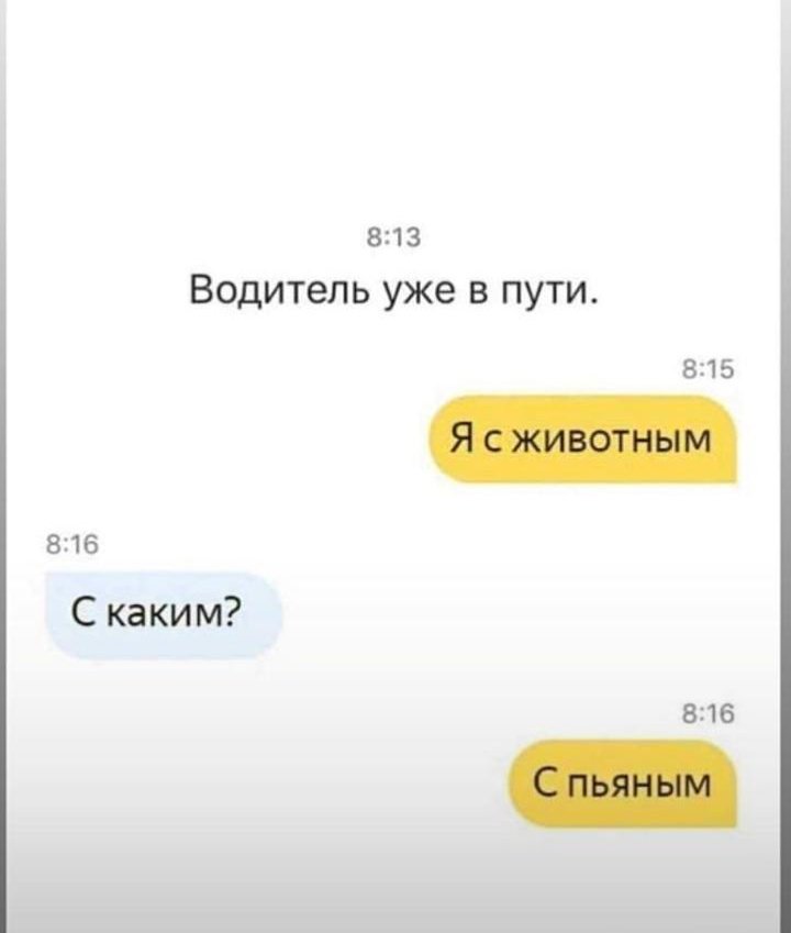 720x849, 25 Kb / водитель, животное, пьяное