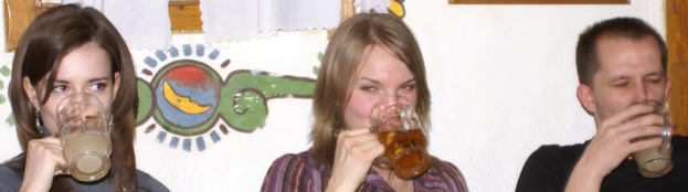 623x174, 42 Kb / Simka, gemini, ИР