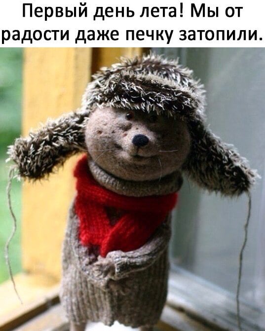 537x671, 59 Kb / ёжик, шапка, лето, шарф, свитер