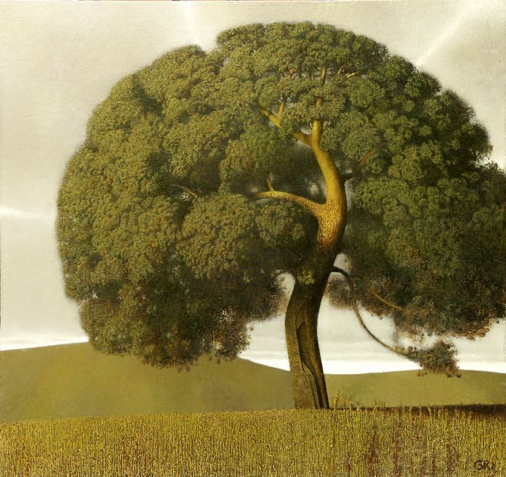 736x694, 116 Kb / дерево, поле