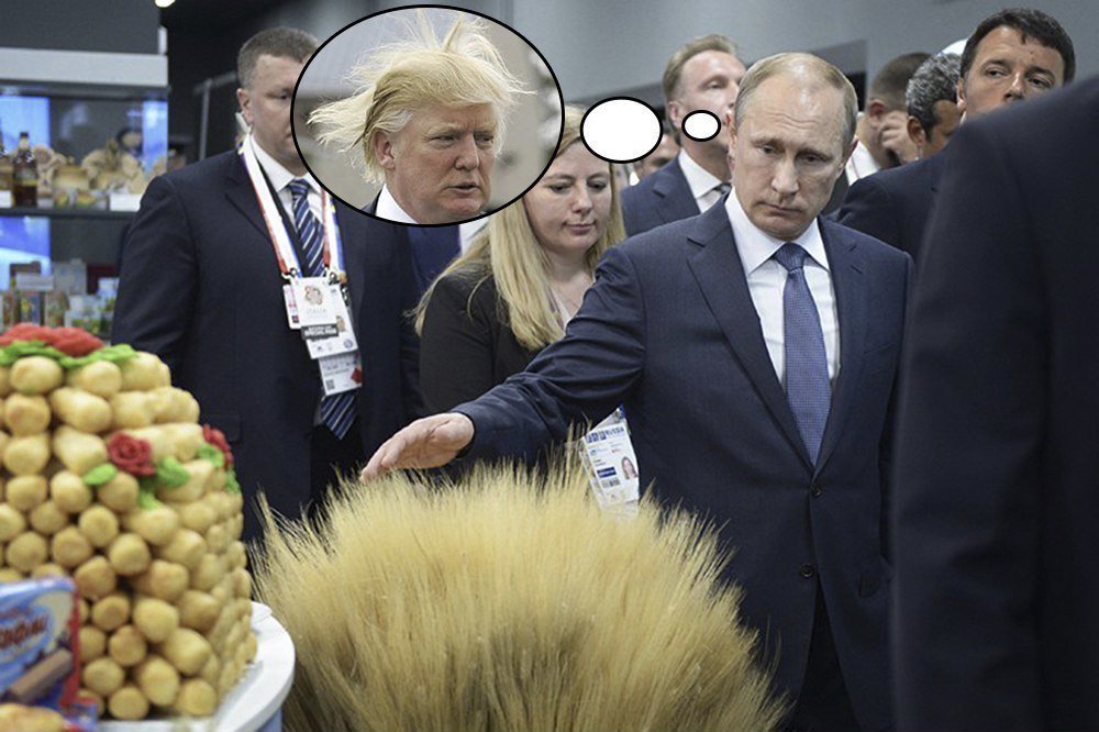 1000x666, 113 Kb / путин, трамп, мечты, грезы, злаки, политота, прическа