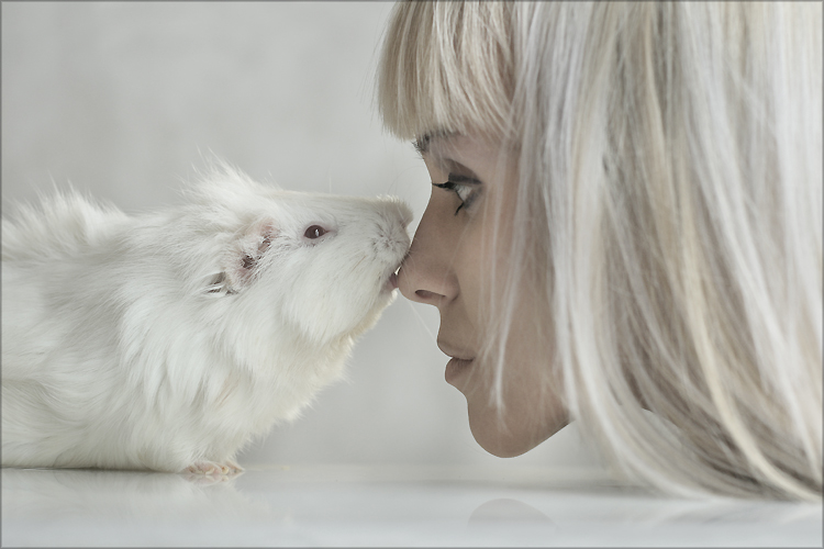 750x500, 166 Kb / чмок