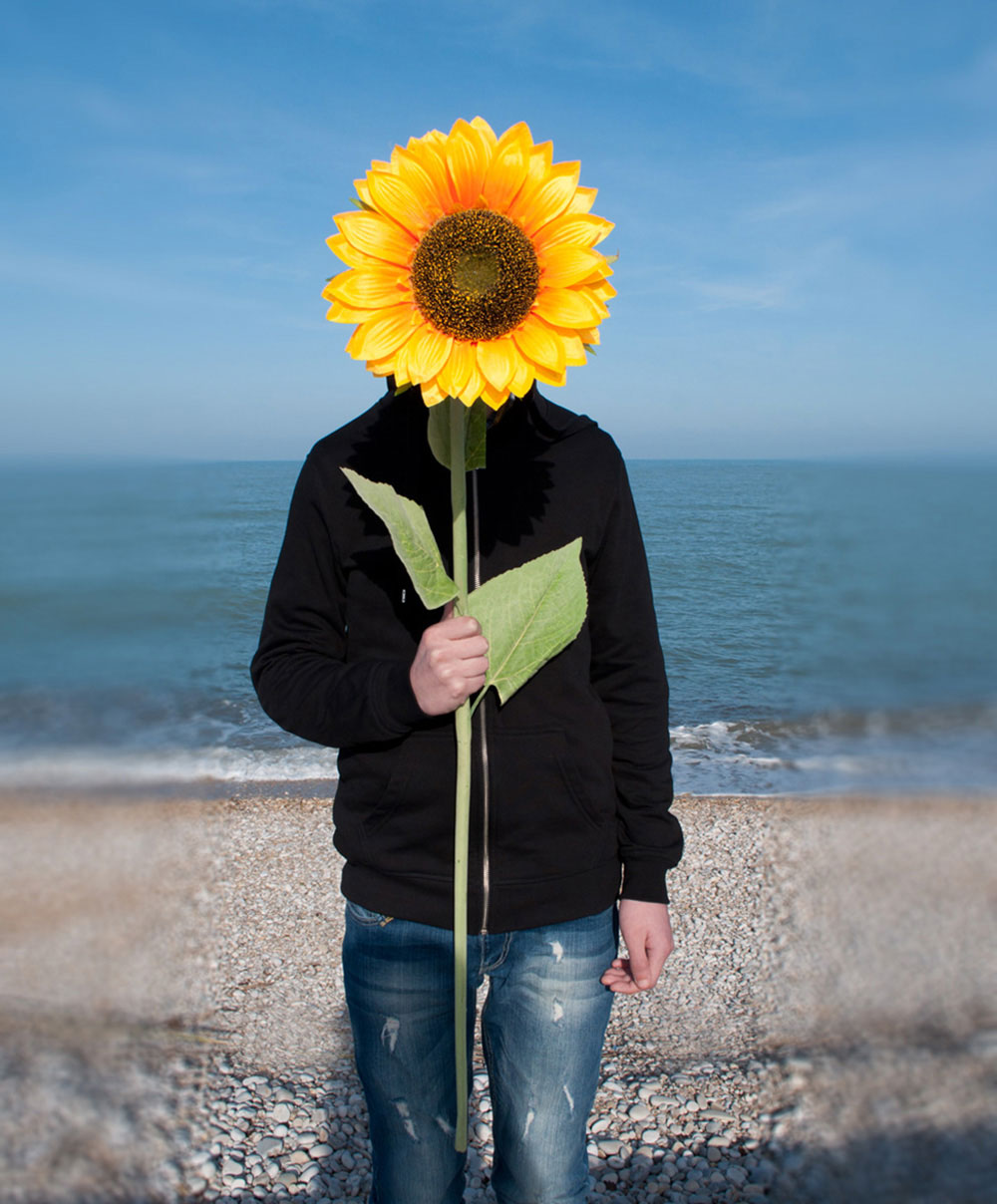 1000x1208, 170 Kb / подсолнух