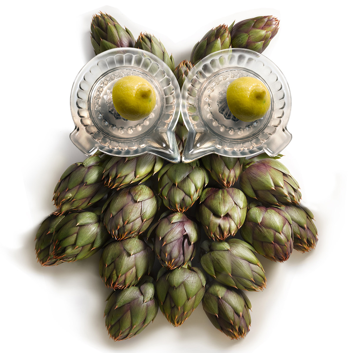 1200x1200, 355 Kb / сова, лимоны, блюдца, хмель, артишок, лимонница