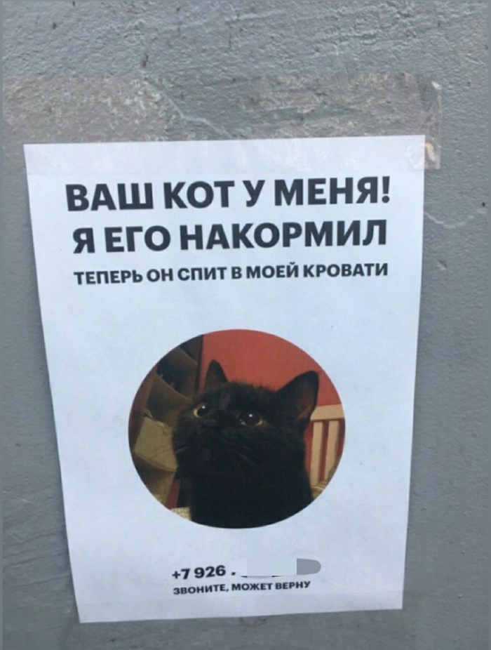 700x926, 148 Kb / кот, кровать, объявление, потерялся