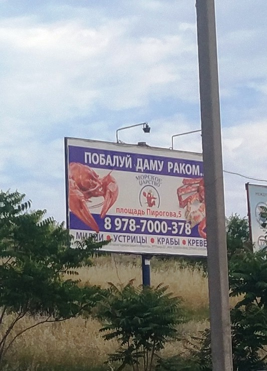 533x742, 109 Kb / реклама, плакат, дама, рак, балует, столб