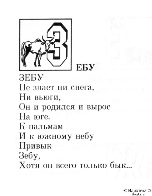 500x642, 40 Kb / зебу