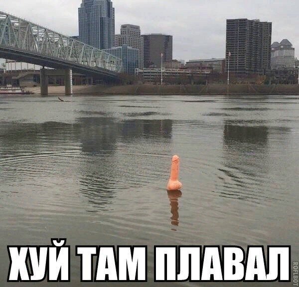 600x577, 71 Kb / хуй, плавал