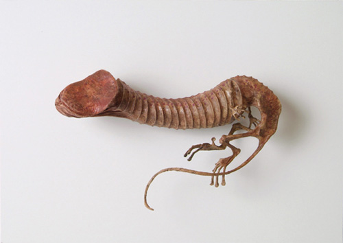 500x354, 32 Kb / динозавр, скелет