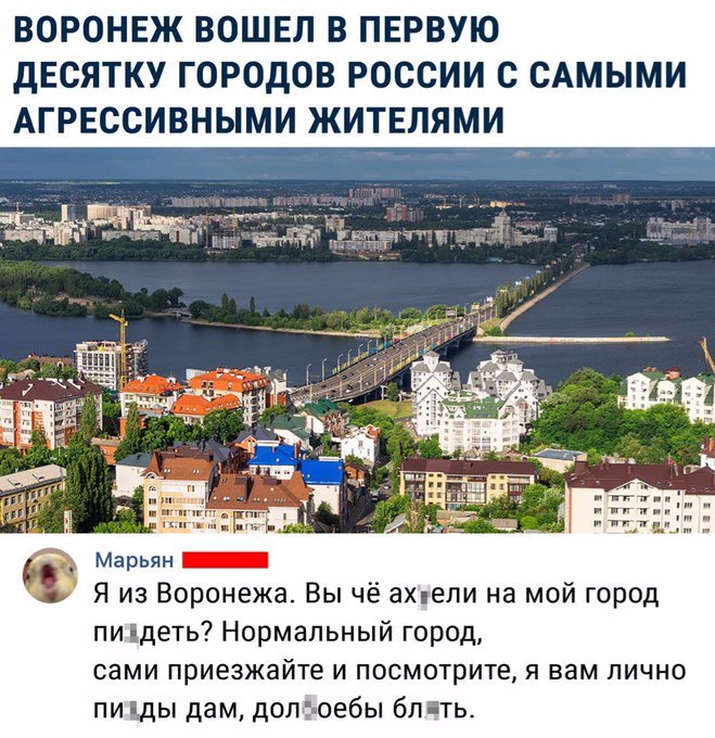 659x680, 122 Kb / воронеж, агрессия