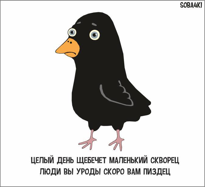 673x612, 28 Kb / собачки, скворец, уроды, пиздец