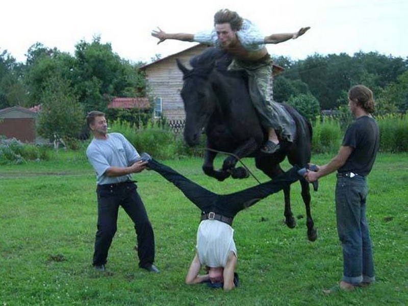 800x600, 106 Kb / лошадь, конкур