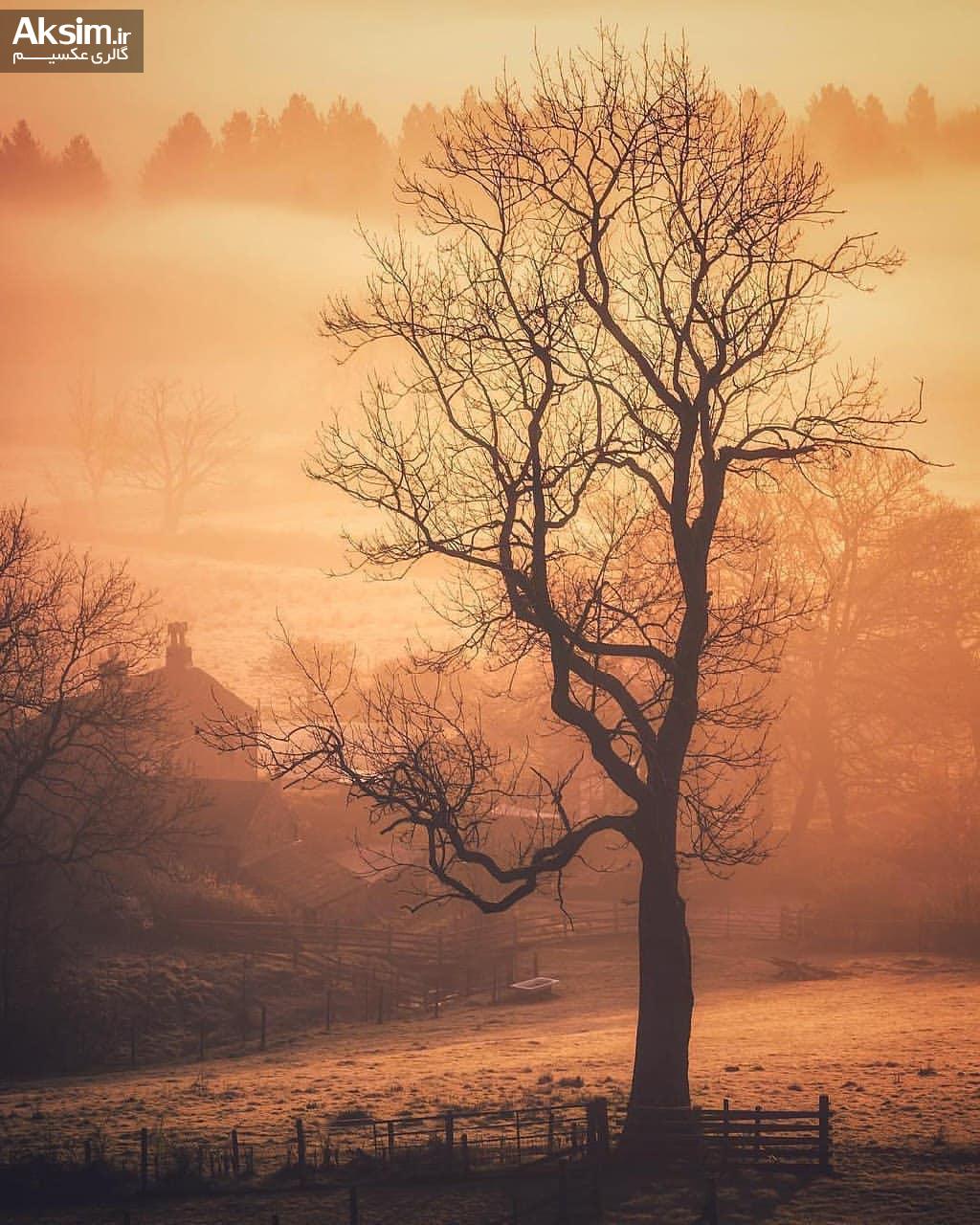 1024x1280, 179 Kb / дерево, туманы, заборы, ванна, дома