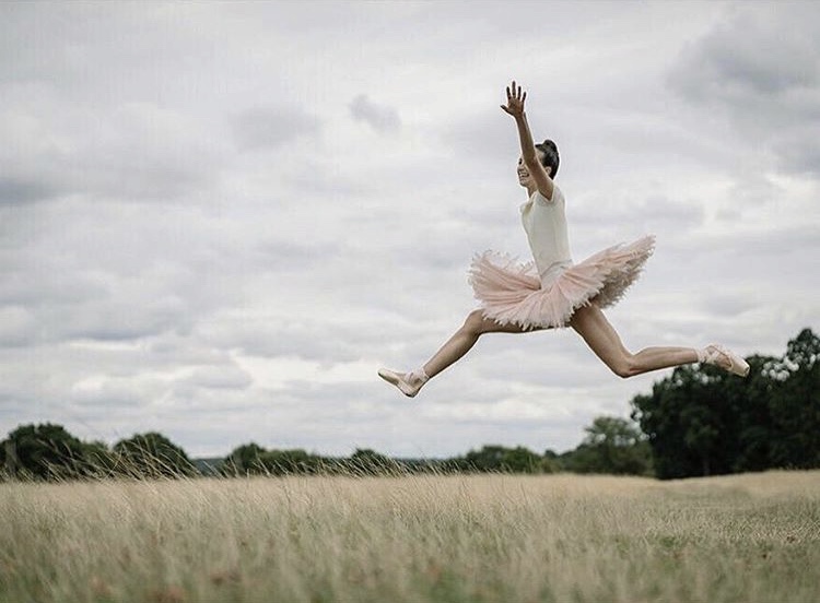 750x552, 99 Kb / балерина, пуанты, пачка, прыжок, поле