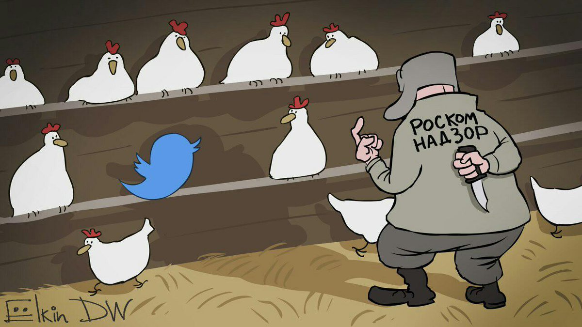 1200x675, 105 Kb / ушанка, нож, курятник, елкин, твиттер