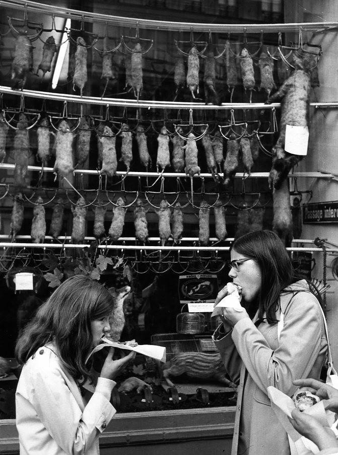 671x902, 110 Kb / крысы, девки, фастфуд, нямка, ч/б