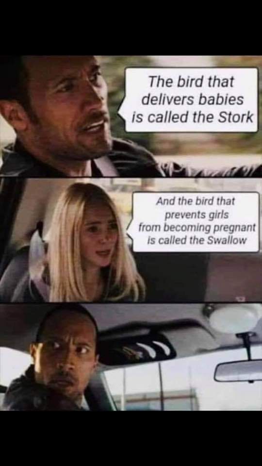 540x960, 36 Kb / Аист, ласточка, беременность, глотать