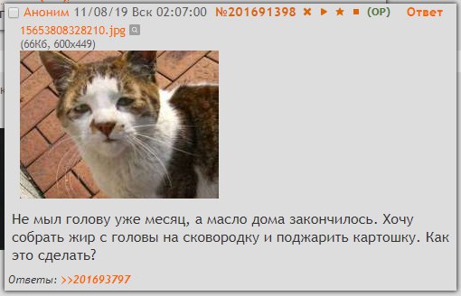 510x328, 31 Kb / мурзик, голова, жир, сковородка