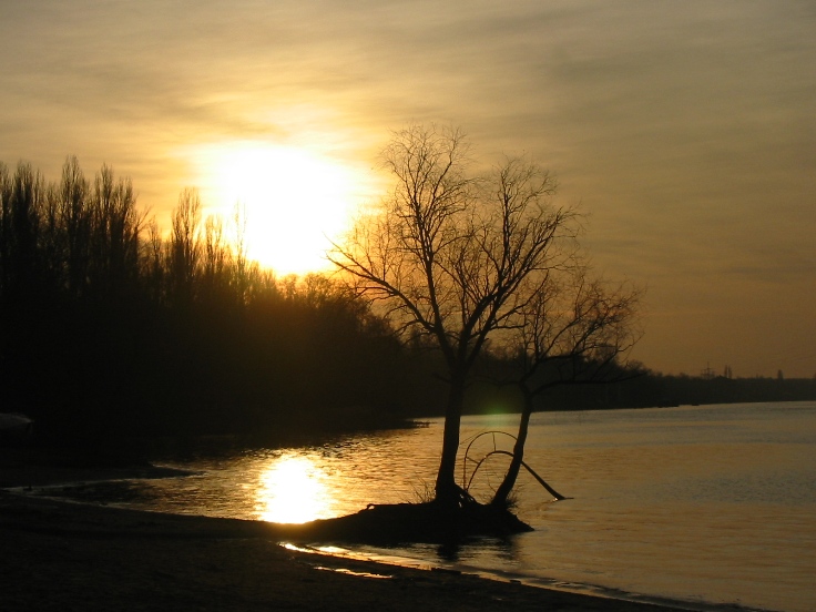 736x552, 147 Kb / вечер