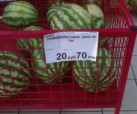 480x400, 37 Kb / помидоры, арбузы