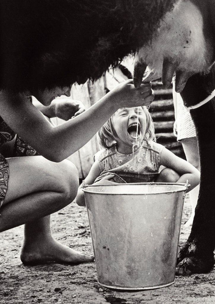 725x1024, 195 Kb / вымя, ведро, рука, молоко, дитя, струя, доярка, дойка, корова