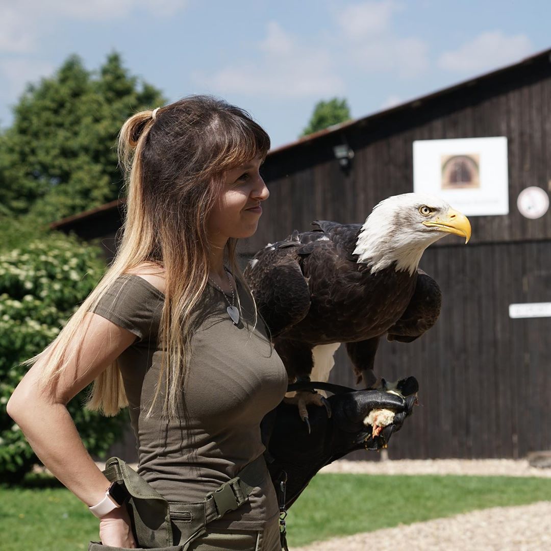 1080x1080, 144 Kb / Птица, орёл, сиськи, когти