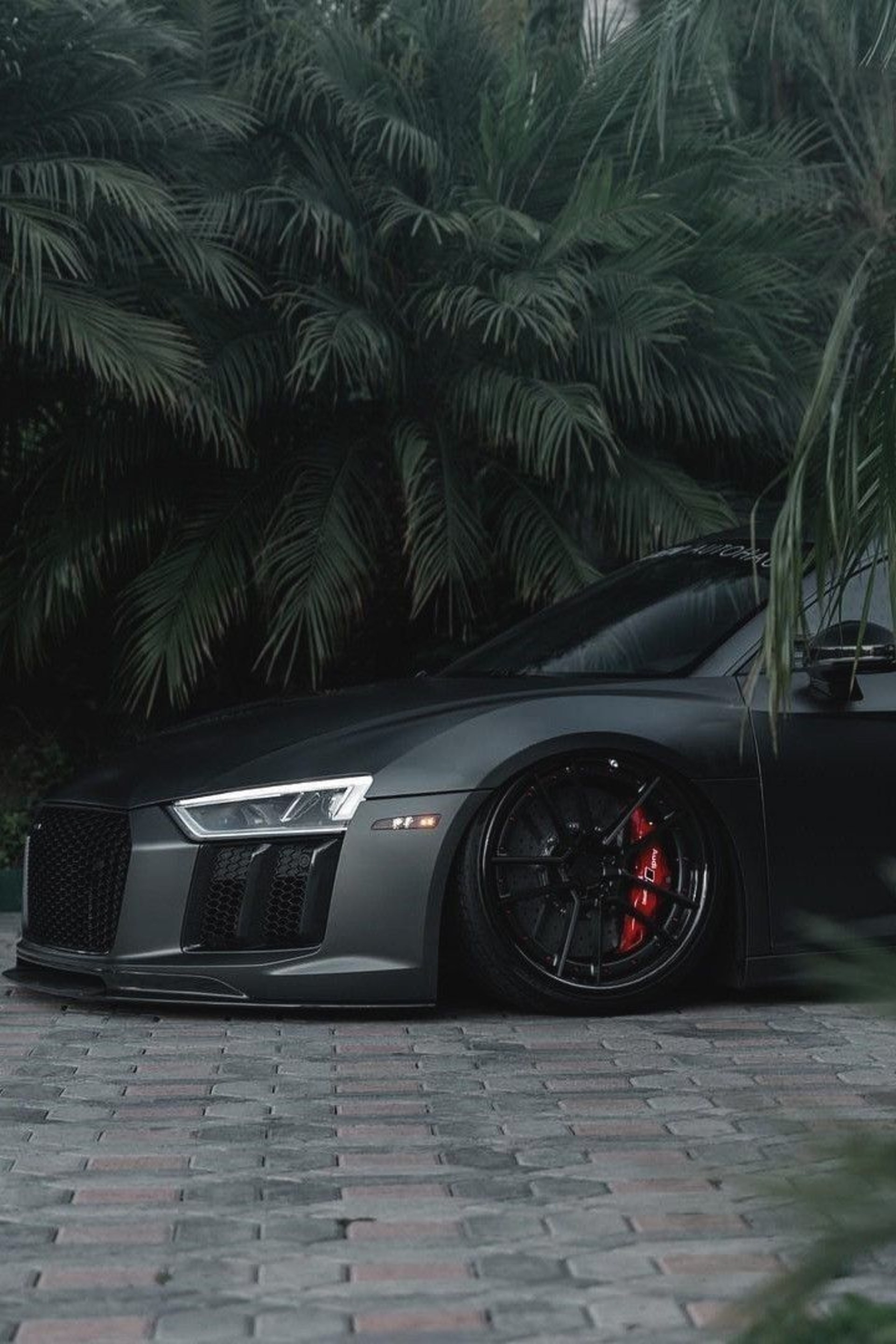 1920x2880, 564 Kb / автомобиль, audi r8, ауди, спорткар, пальма, брусчатка, клиренс, утюг