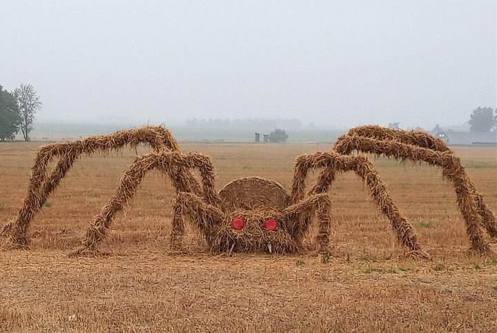 720x482, 104 Kb / сено, тюки, скульптура, паук, клецк