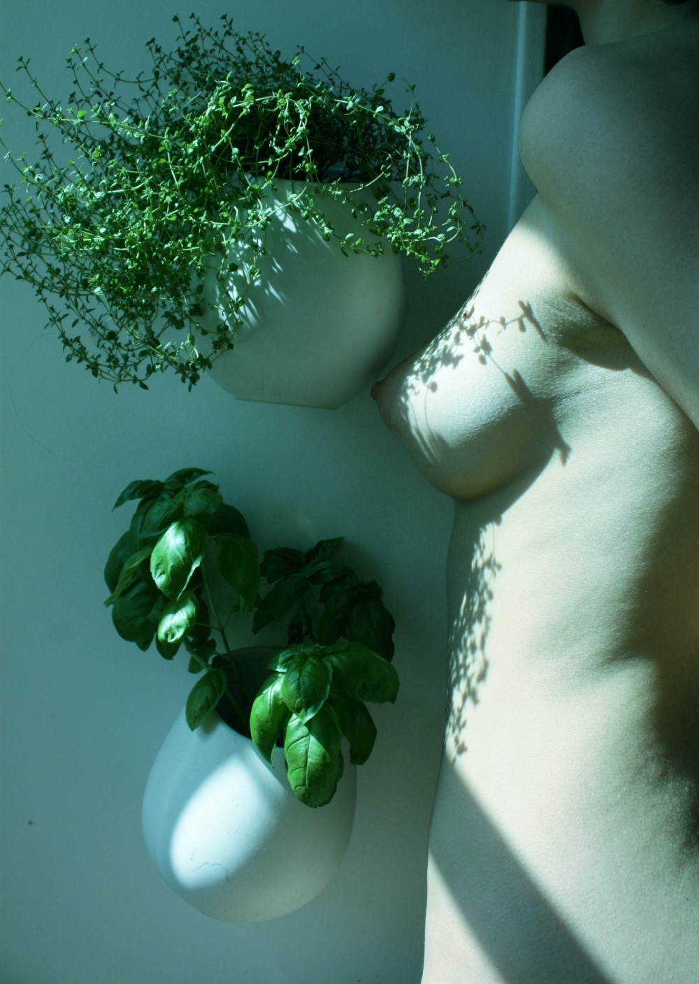 1000x1408, 271 Kb / девка, горшок, кашпо, растение, зелено