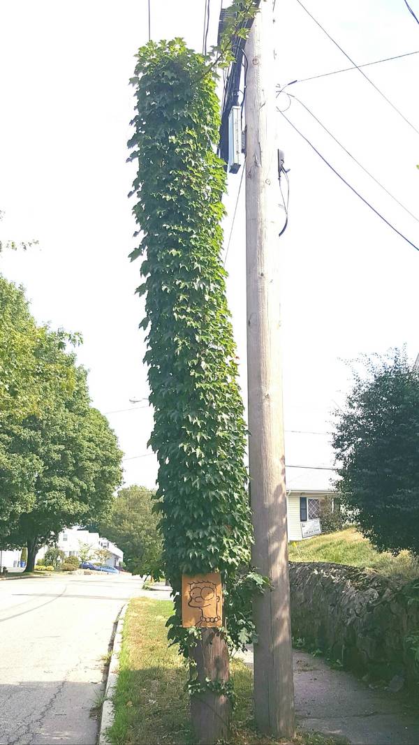 600x1067, 110 Kb / Мардж, симпсон, столб, причёска