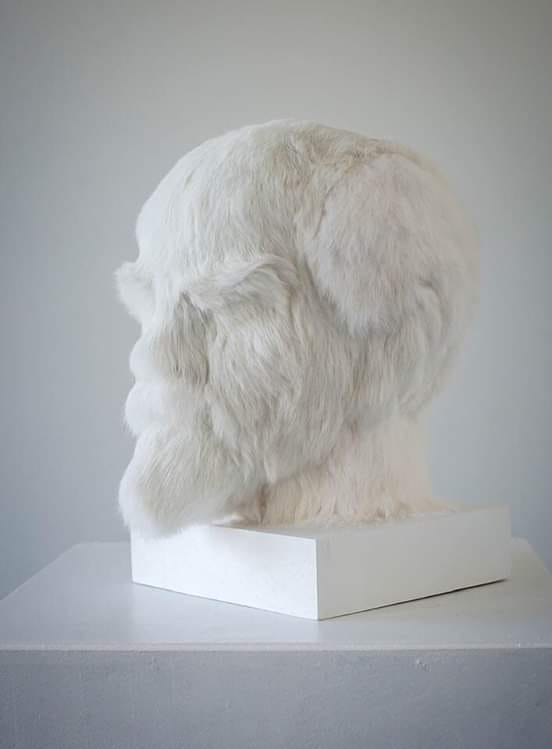 552x749, 19 Kb / Ленин, мех, Слонов