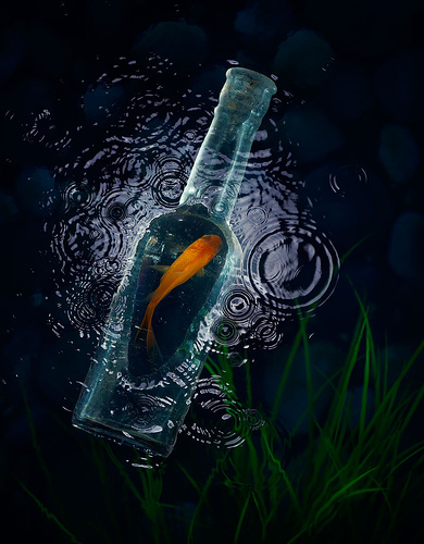 390x500, 108 Kb / рыбка, вода, бутылка