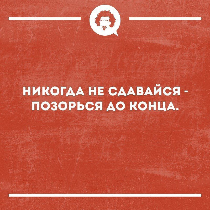 800x800, 169 Kb / не сдавайся, позорься