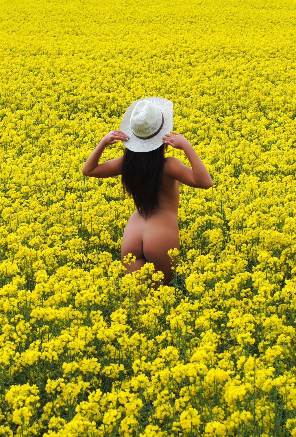 1024x1508, 406 Kb / сиськи, голая, шляпа, поле, желтое