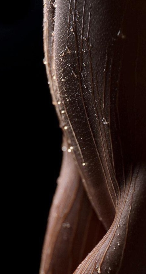 514x960, 80 Kb / мокрая, капли, голая, пупок