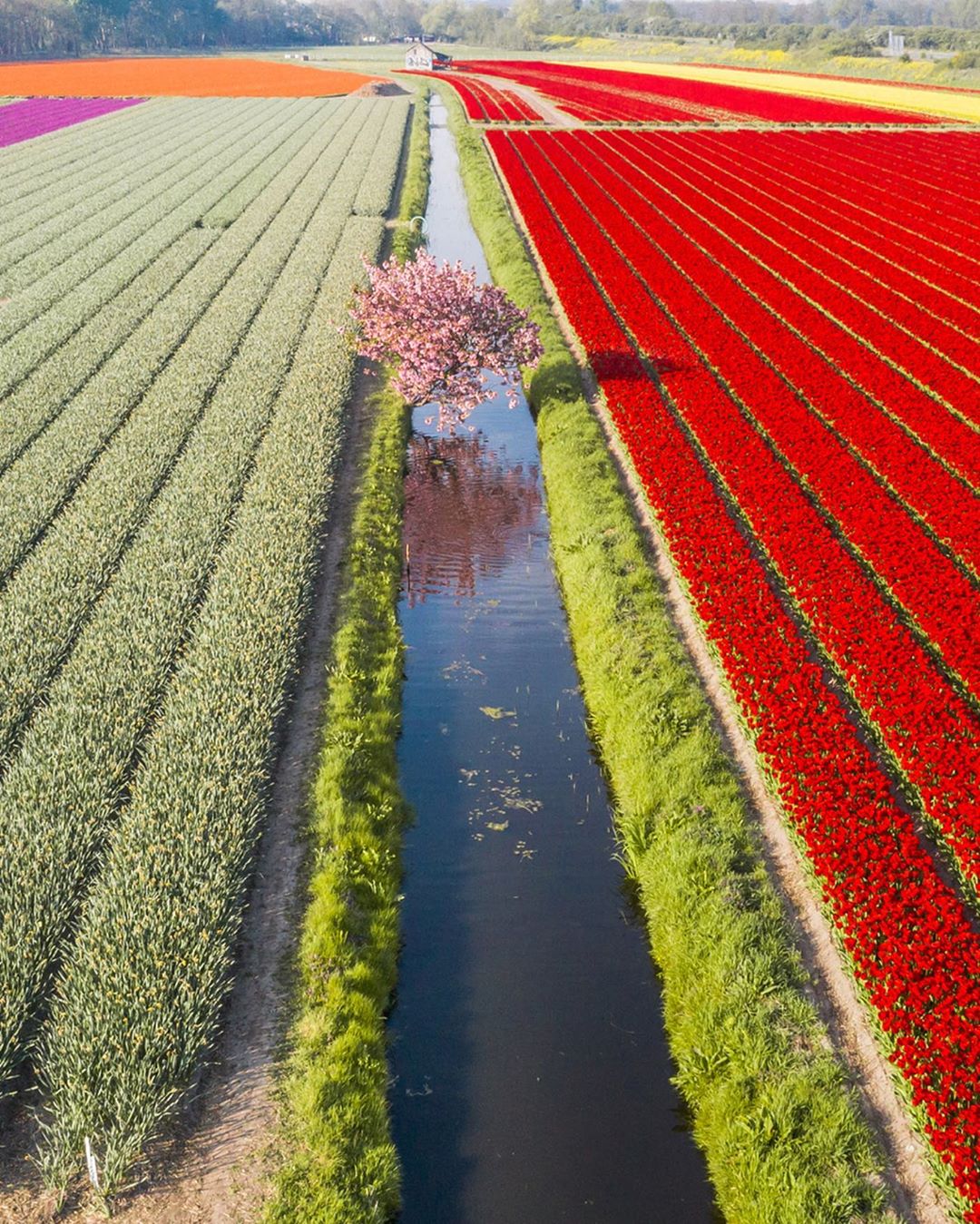 1080x1349, 386 Kb / поле, канал, вода, красный, зелёный