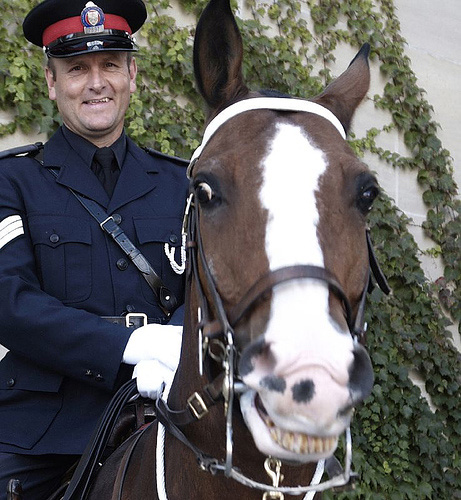 461x500, 135 Kb / лошадь, милиционер