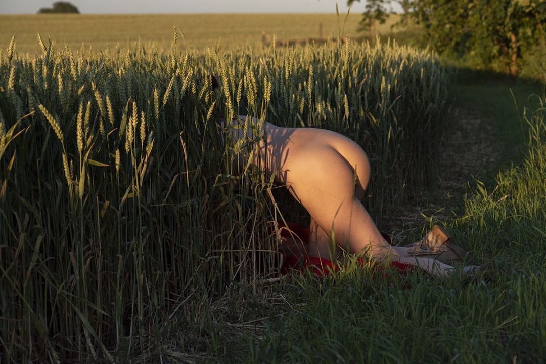 1080x719, 139 Kb / поле, пшеница, раком, попа, голая, ячмень, рожь