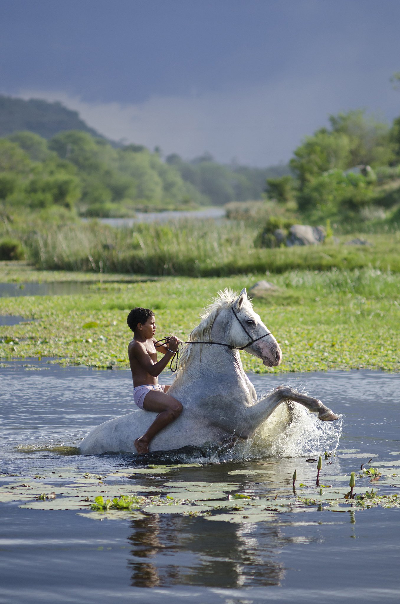 1356x2048, 400 Kb / река, конь, лошадь, мальчик, верхом