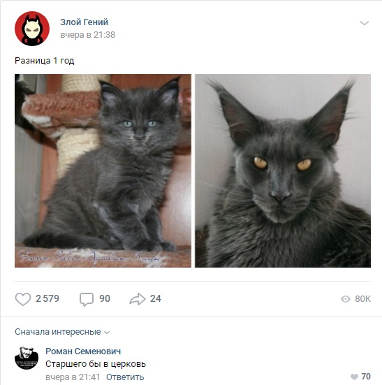 547x551, 68 Kb / кот, котенок, кошка, церковь